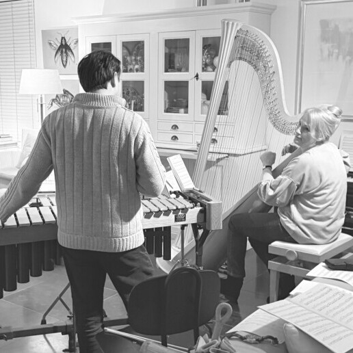 Orkest Etten-leur  (NL) Drya Ingra