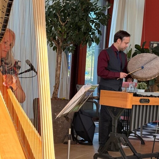 Harpist Etten-leur  (NL) Drya Ingra