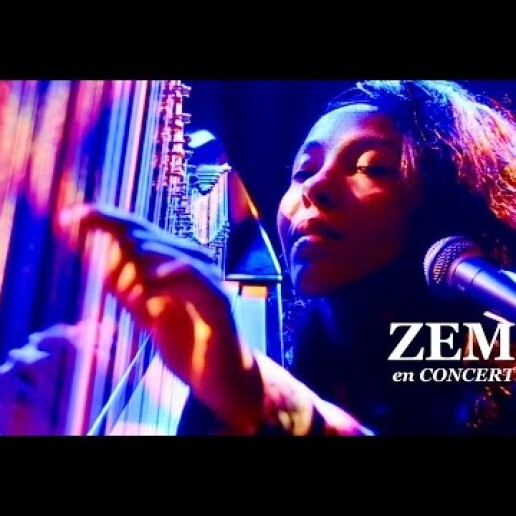 Singer (female) Utrecht  (NL) ZEM Singer AND Harpist