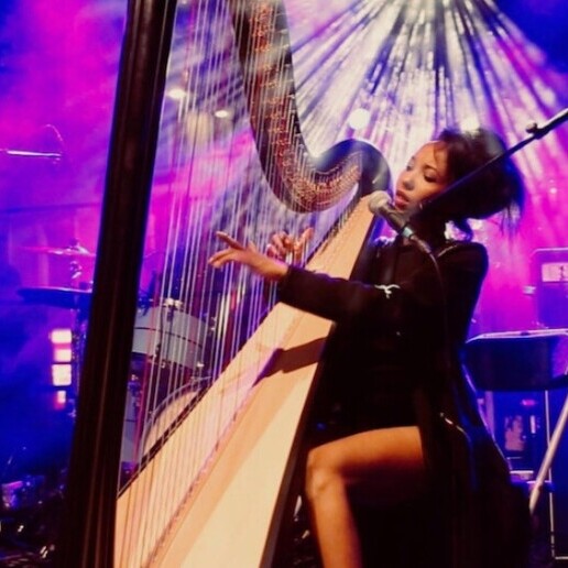 Band Gent  (BE) ZEM on electric harp and drum station