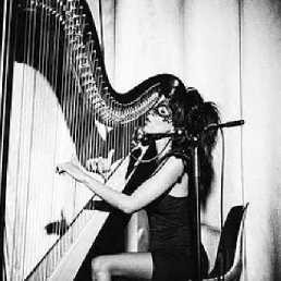 ZEM DJ met live electric harp & vocals