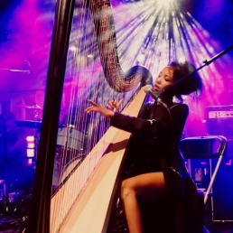 ZEM DJ met live electric harp & vocals