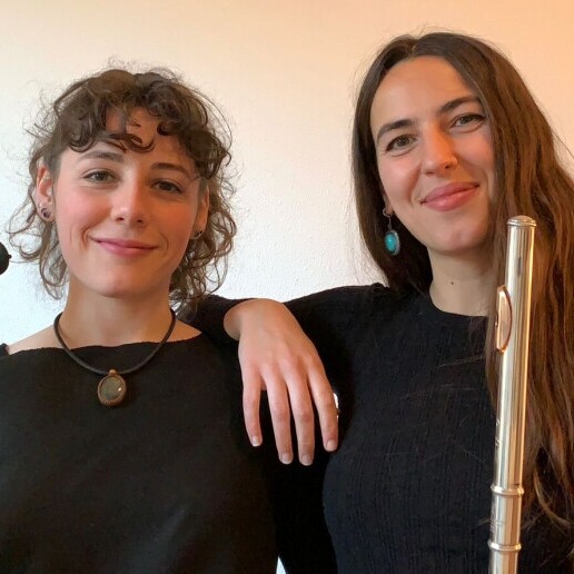 Musician other Utrecht  (NL) Dynamic Duo - Flute and cello duo