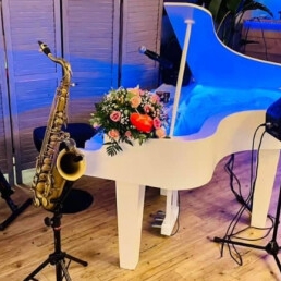 Live Sfeer Muziek in Stijl