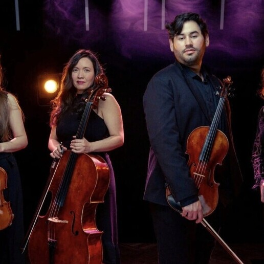 Band Rotterdam  (NL) Strijkkwartet voor evenementen