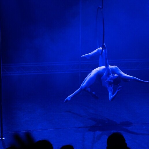 Acrobaat Den Haag  (NL) Aerial hoop duo act