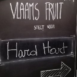 Hard Hart