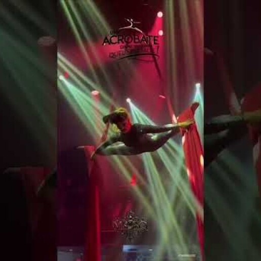 Aerial silk act / doeken act