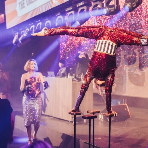 Acrobat Brasschaat  (BE) Between Air and Ground