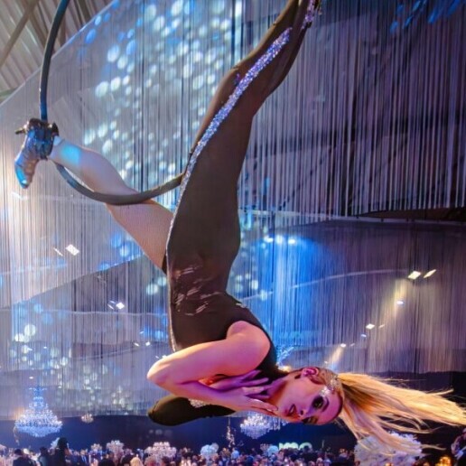 Acrobat Brasschaat  (BE) Aerial hope act