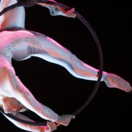 Acrobaat Brasschaat  (BE) Aerial hoop act