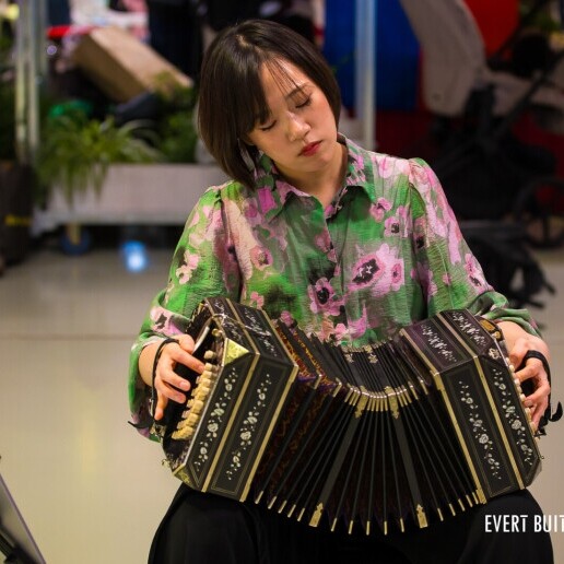 Musician other Rotterdam  (NL) Bandoneon Solo