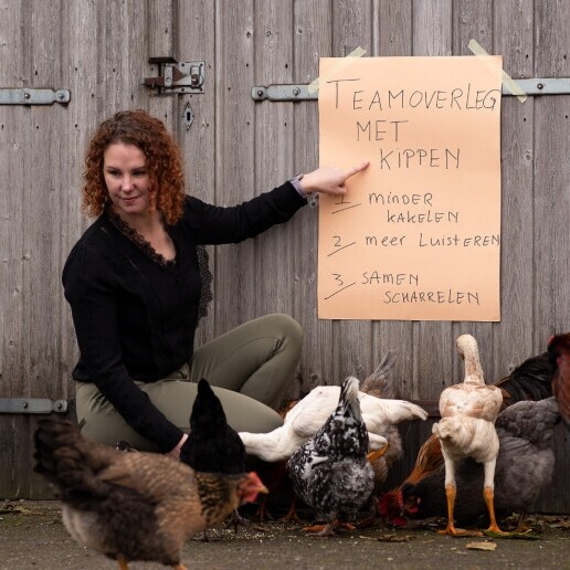 Spreker Bruchterveld  (NL) Dorpslogica in organisaties