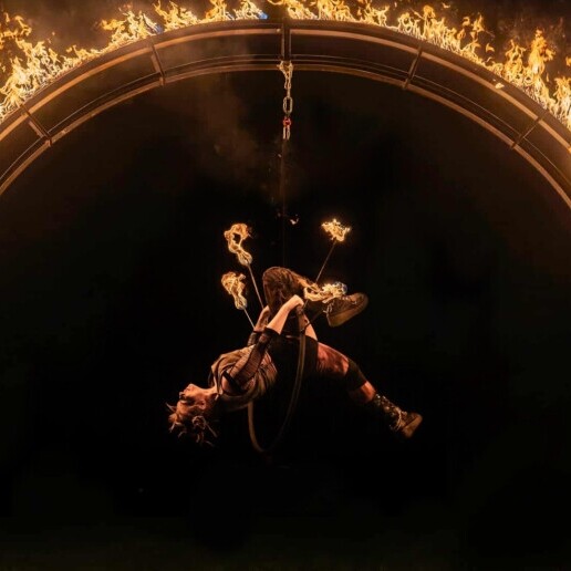 Event show Aalter  (BE) The portal