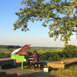 Intuïtieve piano muziek Online