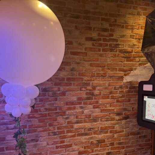 Photographer Poeldijk  (NL) Photobooth Party