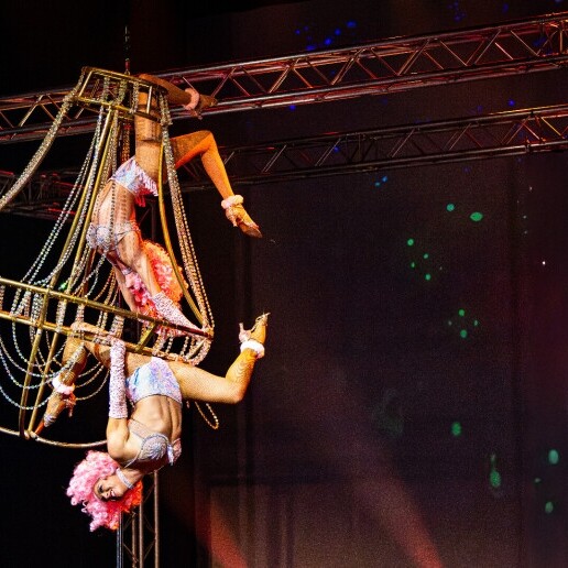 Acrobat Haarlem  (NL) Aerial Chanderlier - Luchtacrobatiek
