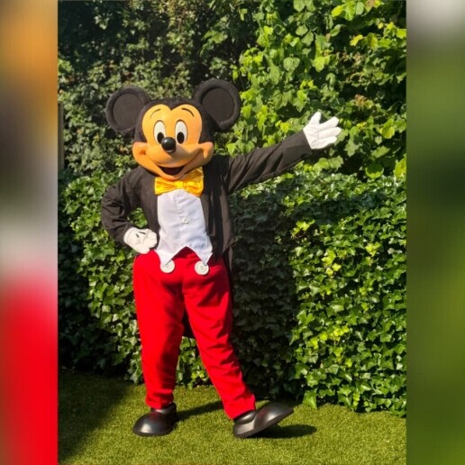 Character/Mascott Wapenveld  (NL) Meet & Greet with Mickey Mouse - Mascot