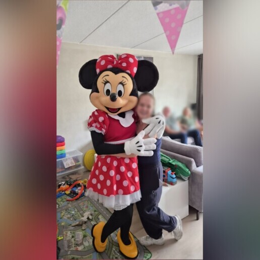 Karakter/Verkleed Wapenveld  (NL) Minnie komt op jouw feestje! - Mascotte