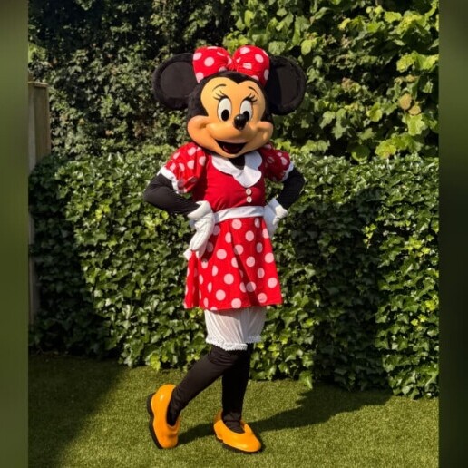 Character/Mascott Wapenveld  (NL) Meet & Greet with Minnie Mouse - Mascot
