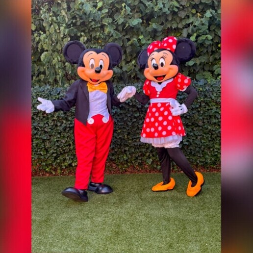 Karakter/Verkleed Wapenveld  (NL) Mickey & Minnie Mouse – Samen op Bezoek!