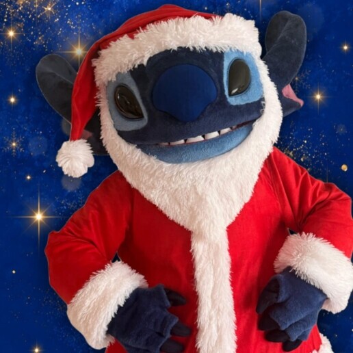 Karakter/Verkleed Wapenveld  (NL) Vier Kerst met Stitch!