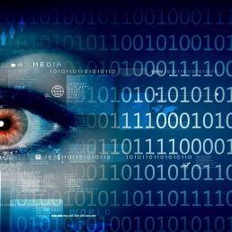 Cybercrime, Internet fraud, Indenteitsfraude