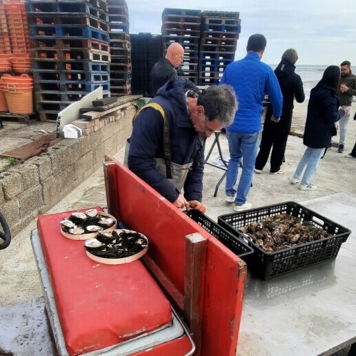 Foodtruck Amsterdam  (NL) Yani's Oesters | Oysterman