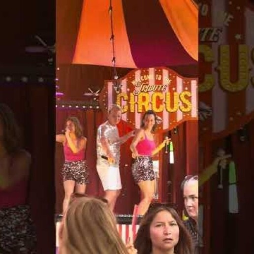 Jeugdhelden Live: De Studio 100 Tribute